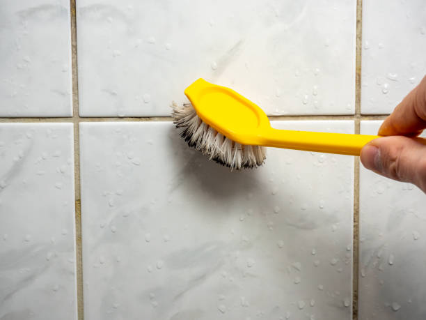 Best Attic Mold Removal  in Stone Ridge, VA