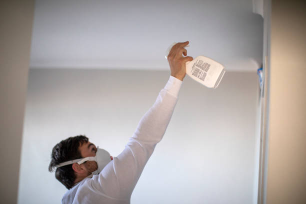 Best Mold Testing and Removal  in Stone Ridge, VA