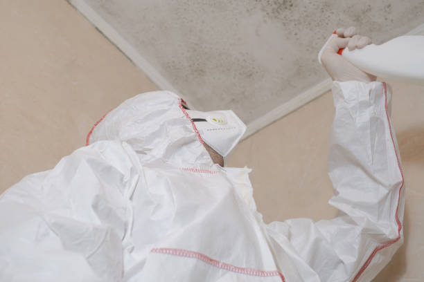 Mold Removal and Inspection in Stone Ridge, VA