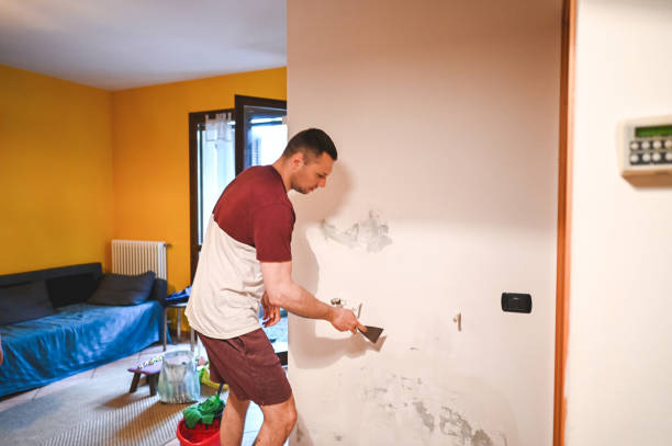 Best Mold Removal Company Near Me  in Stone Ridge, VA